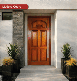 PUERTA CINCO PANELES