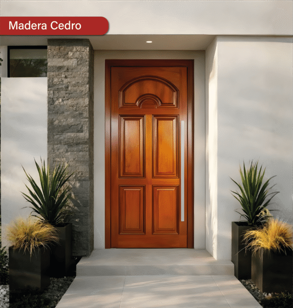 PUERTA CINCO PANELES